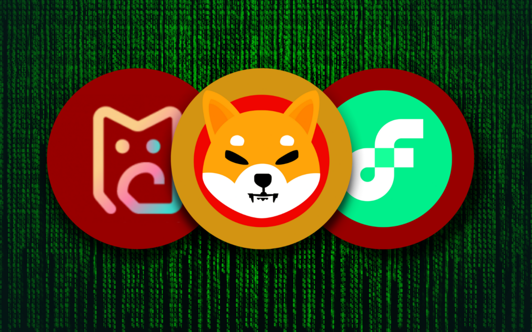 TOP 3 BIG BETS OF CRYPTO VETERANS: MEHRACKI (MKI), SHIBA INU (SHIB) AND FLOW (FLOW)